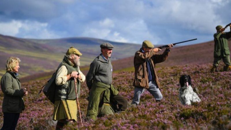 Thousands of wild animals ‘slaughtered’ every year to protect shooting for sport on grouse moors Thousands of wild animals ‘slaughtered’ every year to protect shooting for sport on grouse moors
