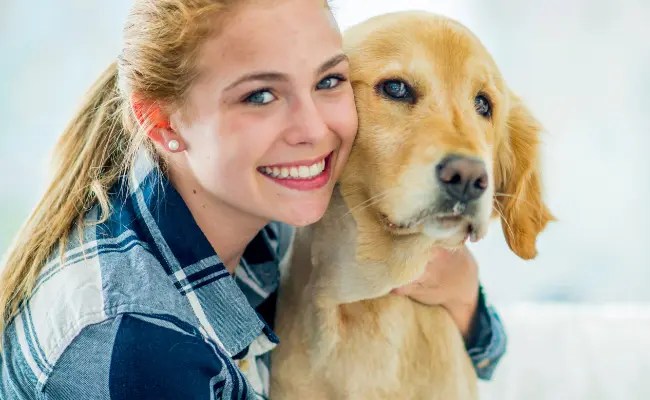 Plataformas de atendimento a animais de estimação confiáveis para proprietários atenciosos Plataformas de atendimento a animais de estimação confiáveis para proprietários atenciosos