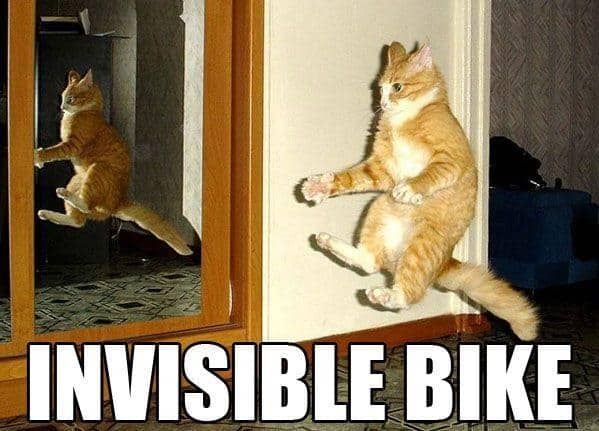 Os melhores memes de gatos de todos os tempos Os melhores memes de gatos de todos os tempos