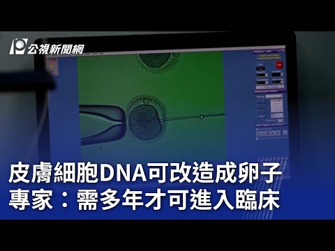 皮膚細胞DNA可改造成卵子 專家:需多年才可進入臨床|20251002 8點新世界 | 公視新聞網 PNN 皮膚細胞DNA可改造成卵子 專家:需多年才可進入臨床|20251002 8點新世界 | 公視新聞網 PNN