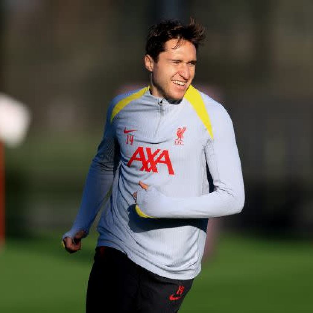 Fiorentina Plot Bold January Swoop for Liverpool Castaway Fiorentina Plot Bold January Swoop for Liverpool Castaway