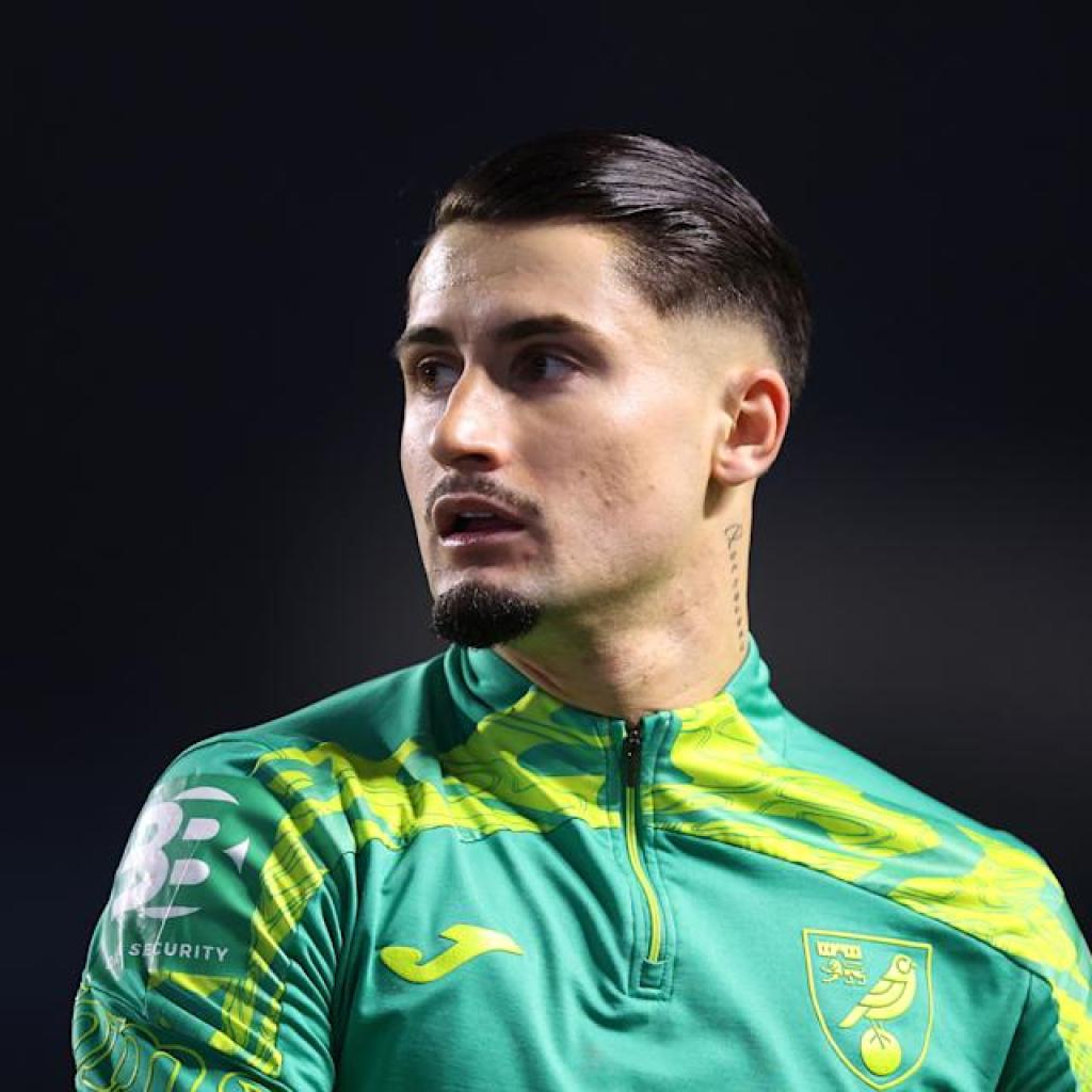 Atlético Madrid amongst La Liga trio with sights on Norwich Metropolis star Atlético Madrid amongst La Liga trio with sights on Norwich Metropolis star