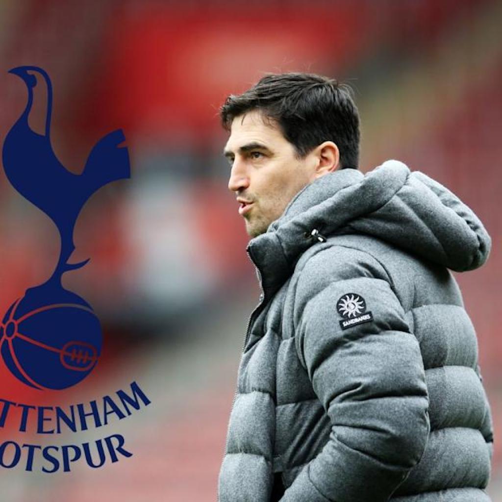 Report: Tottenham make Ange Postecoglou resolution amid admiration for rival Premier League supervisor Report: Tottenham make Ange Postecoglou resolution amid admiration for rival Premier League supervisor