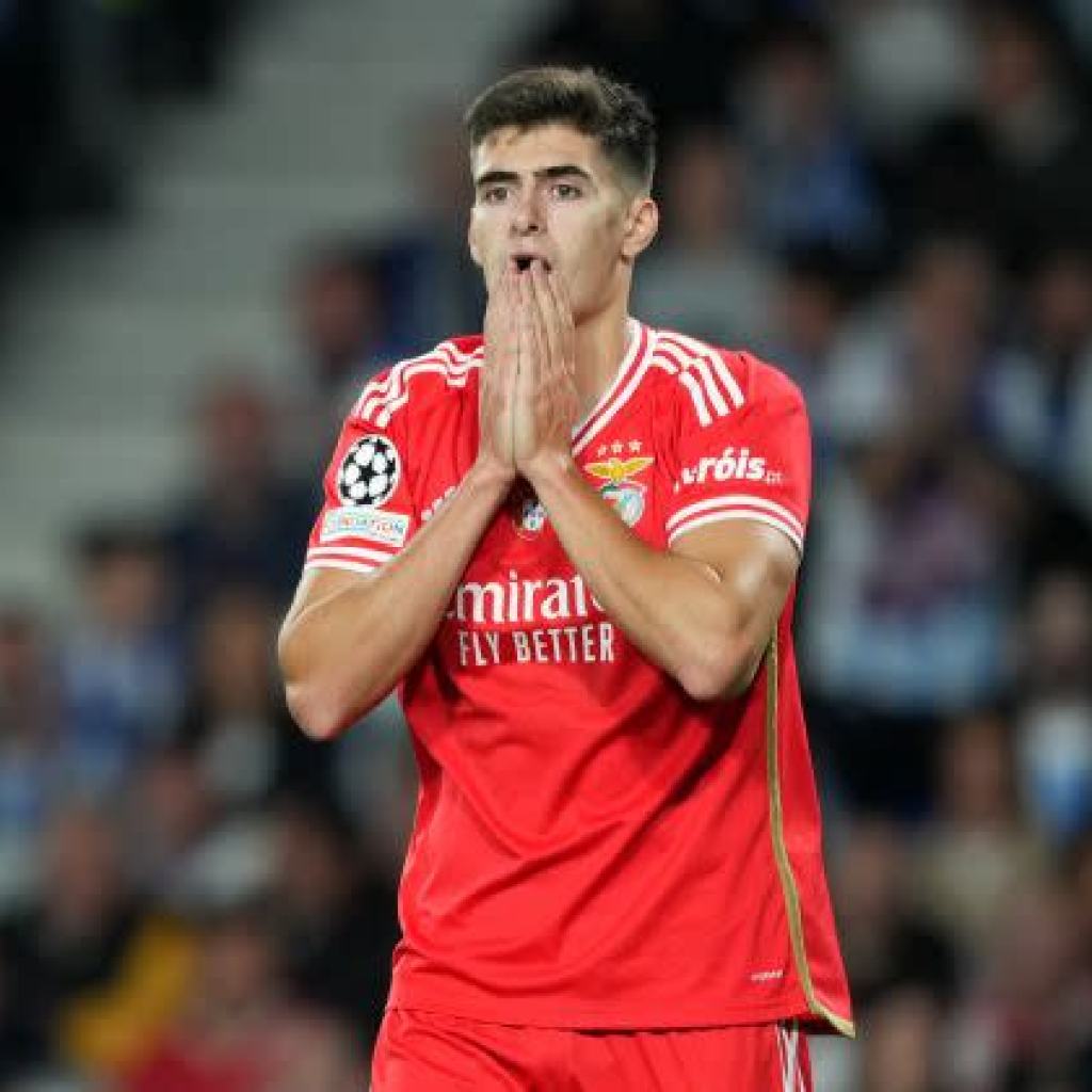 Milan and Juventus Will Should Pay Up for Benfica Star Milan and Juventus Will Should Pay Up for Benfica Star