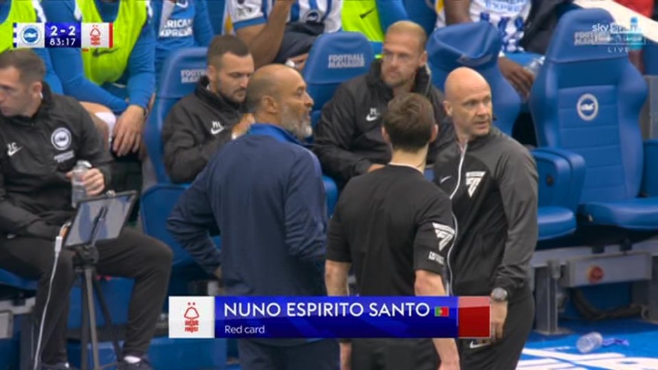 Chaos in Brighton vs Nottingham Forest with both managers sent off Chaos in Brighton vs Nottingham Forest with both managers sent off