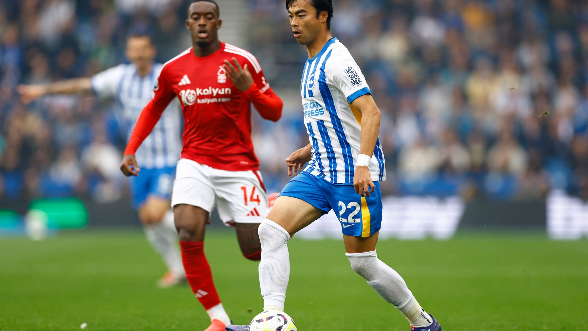 Brighton vs Nottingham Forest LIVE SCORE: Latest Premier League updates Brighton vs Nottingham Forest LIVE SCORE: Latest Premier League updates