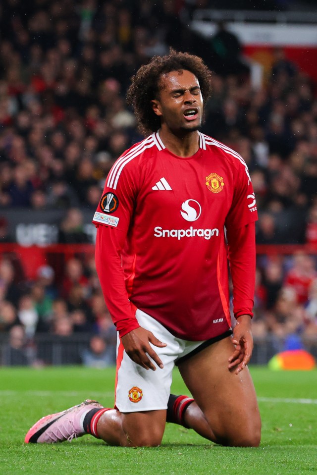Sacked Man Utd boss Ten Hag didn't want to sign overweight £36.5m flop Zirkzee Sacked Man Utd boss Ten Hag didn't want to sign overweight £36.5m flop Zirkzee