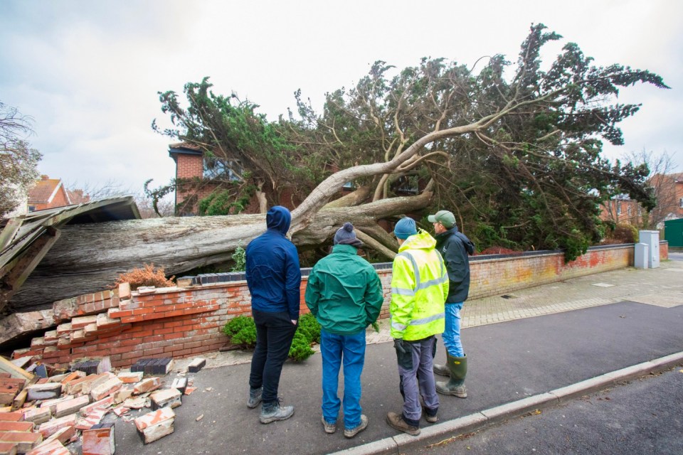 Notts County v Colchester off after vital equipment destroyed by Storm Darragh Notts County v Colchester off after vital equipment destroyed by Storm Darragh