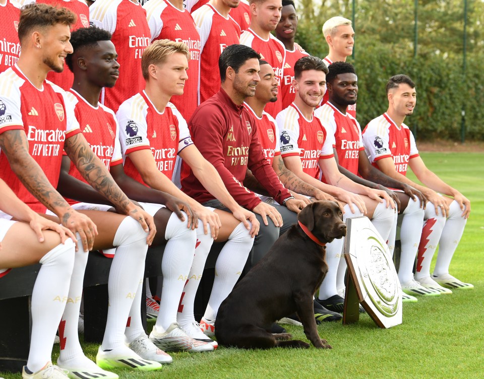 Arteta accidentally photobombs Sky Sports report as he takes dog for a walk Arteta accidentally photobombs Sky Sports report as he takes dog for a walk