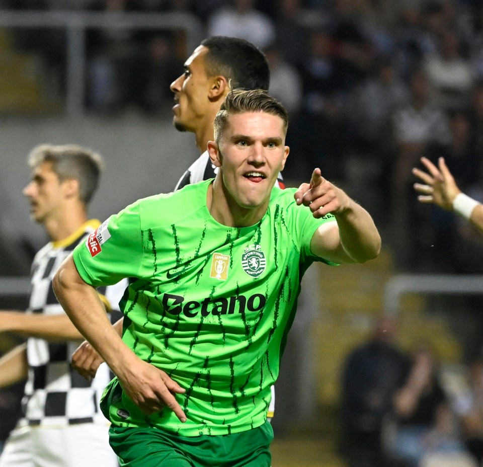 Arsenal's striker dilemma between Gyokeres and Sesko as club 'have reservations' Arsenal's striker dilemma between Gyokeres and Sesko as club 'have reservations'