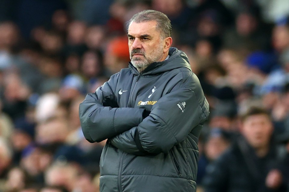 Meet 'Austrian Postecoglou' leading Bundesliga high-fliers to relegation brink Meet 'Austrian Postecoglou' leading Bundesliga high-fliers to relegation brink