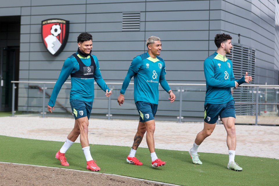 Inside Bournemouth’s futuristic new base including indoor dome Inside Bournemouth’s futuristic new base including indoor dome