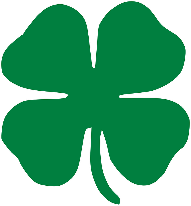 Chelsea vs Shamrock Rovers LIVE SCORE: Latest Conference League updates Chelsea vs Shamrock Rovers LIVE SCORE: Latest Conference League updates
