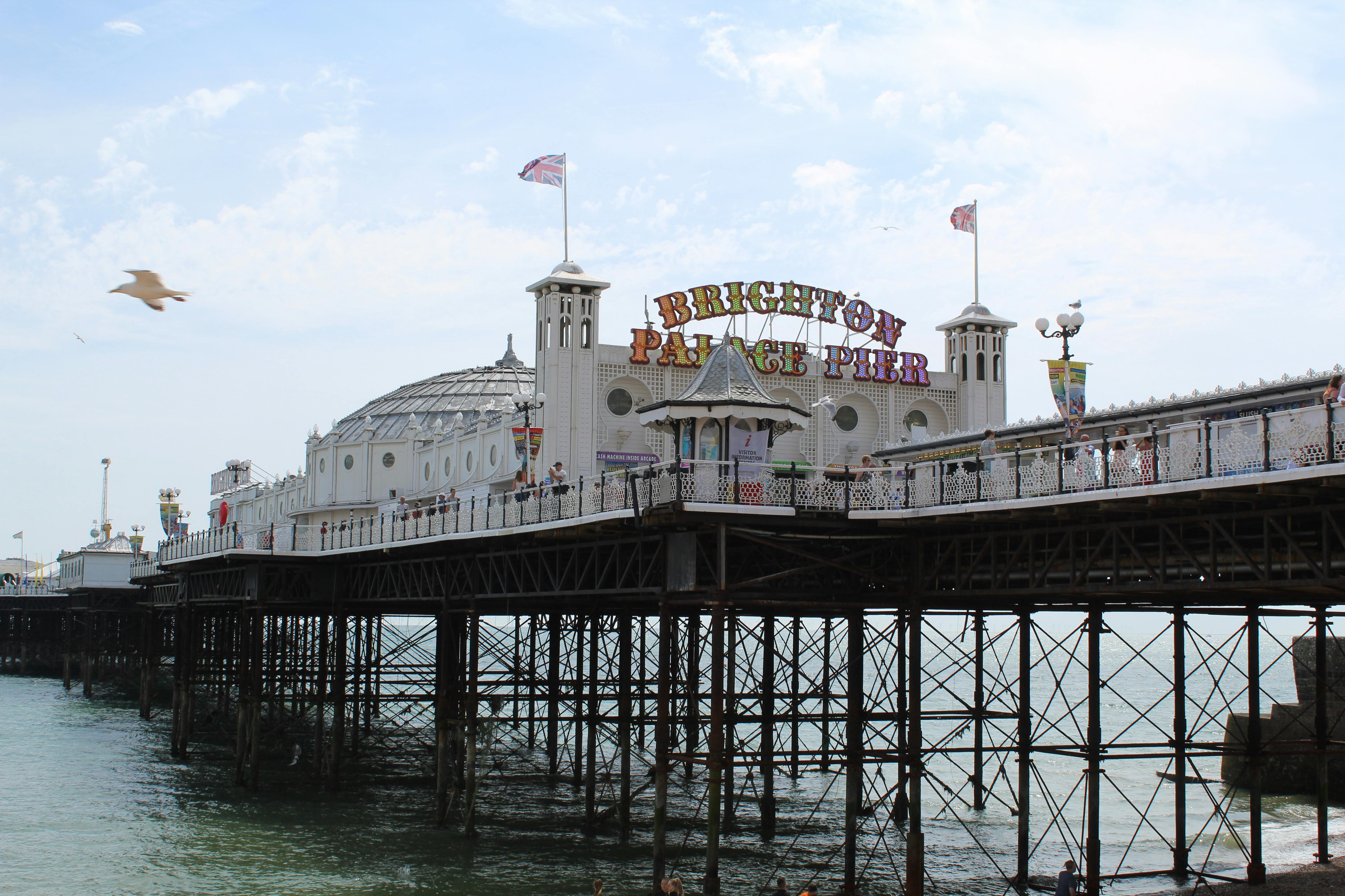 Incredible rise of Baleba, the hidden gem set to be Brighton's next superstar Incredible rise of Baleba, the hidden gem set to be Brighton's next superstar