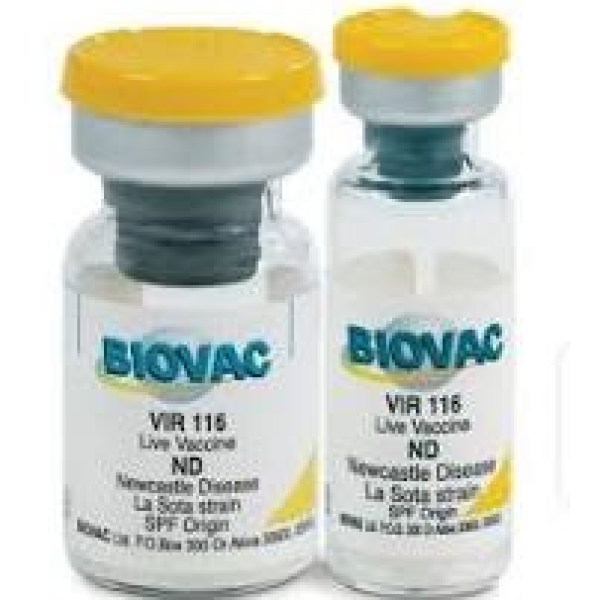 Komorov 1000D Komorov 1000D