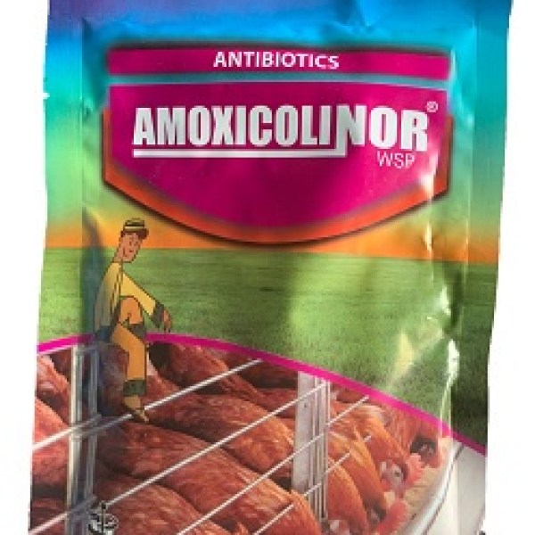 Amoxicolinor 100g (jubaili) Amoxicolinor 100g (jubaili)