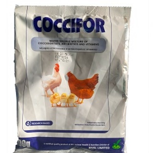Coccifor Coccifor