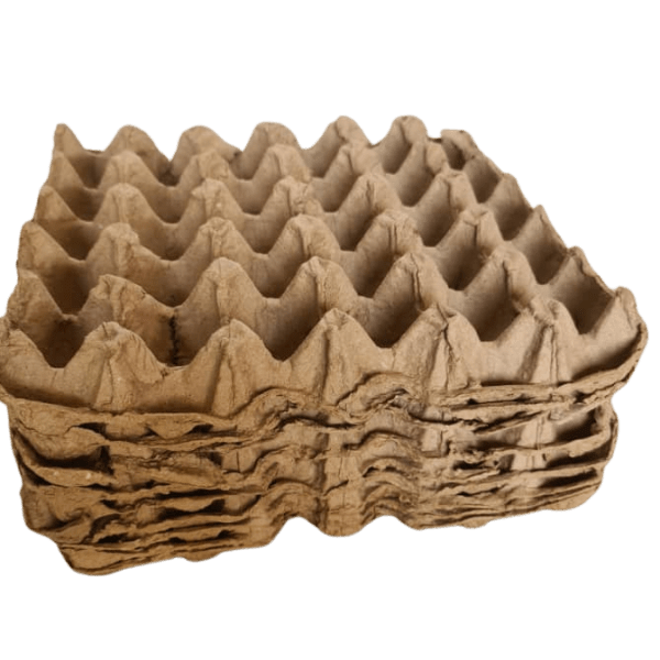Paper Egg Crate Paper Egg Crate