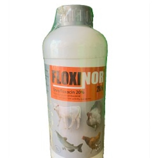 Floxinor 1L/Btl (jubaili) Floxinor 1L/Btl (jubaili)