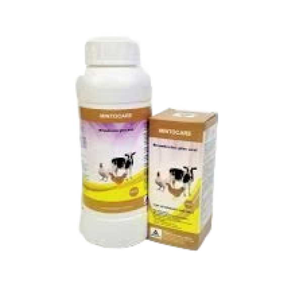 Mintocare 1liter Mintocare 1liter