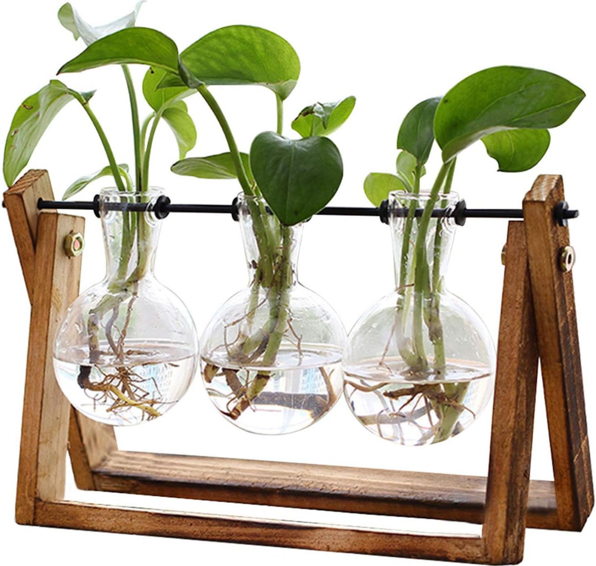 XXXFLOWER Plant Terrarium with Wooden Stand, Air Planter Bulb Glass Vase Metal Swivel Holder Retro Tabletop for Hydroponics Home Garden Office Decoration – 3 Bulb Vase XXXFLOWER Plant Terrarium with Wooden Stand, Air Planter Bulb Glass Vase Metal Swivel Holder Retro Tabletop for Hydroponics Home Garden Office Decoration – 3 Bulb Vase