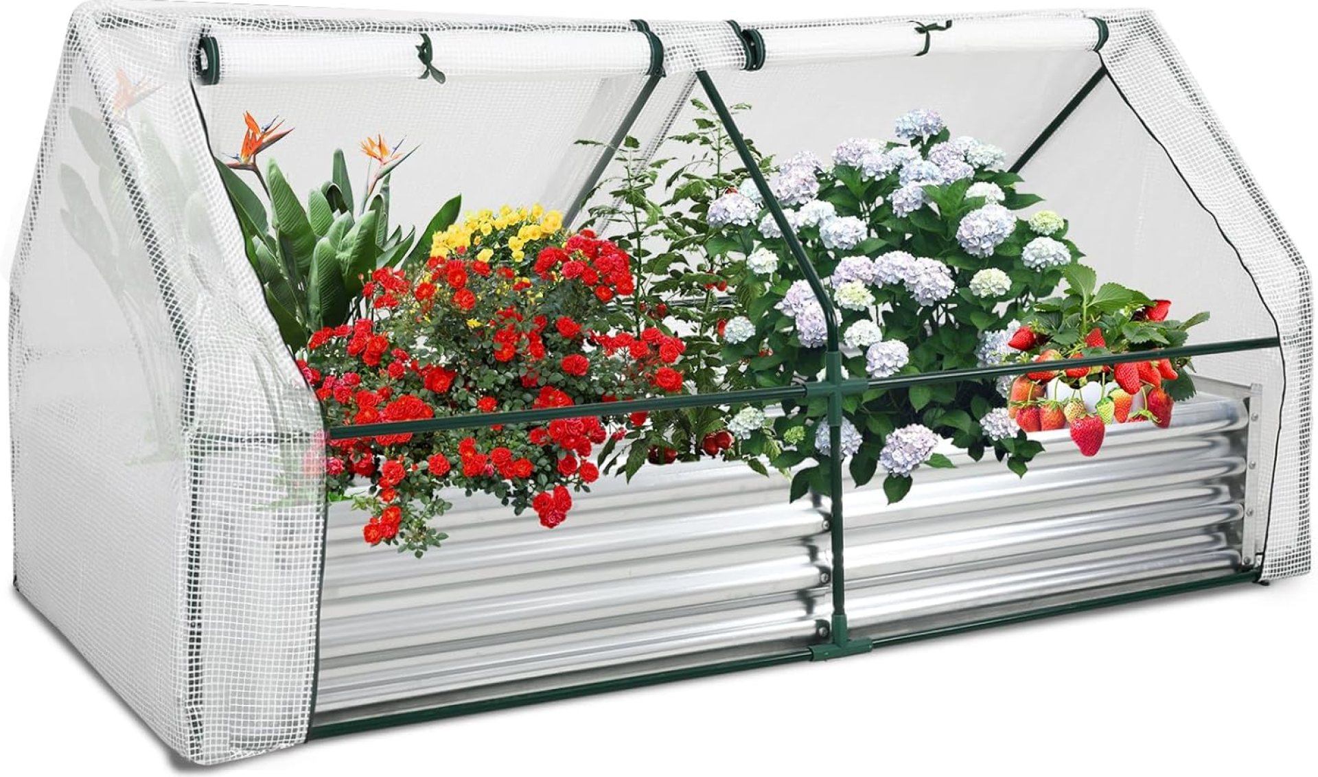 6 x 3 x 1FT Galvanized Raised Garden Bed with Covered Outdoor Extra Thick Metal Planter Box Greenhouse Kit, with 2 Large Zipper Windows for Outdoor Gardening Garden Box, Keep Warm and Protcet Plants 6 x 3 x 1FT Galvanized Raised Garden Bed with Covered Outdoor Extra Thick Metal Planter Box Greenhouse Kit, with 2 Large Zipper Windows for Outdoor Gardening Garden Box, Keep Warm and Protcet Plants