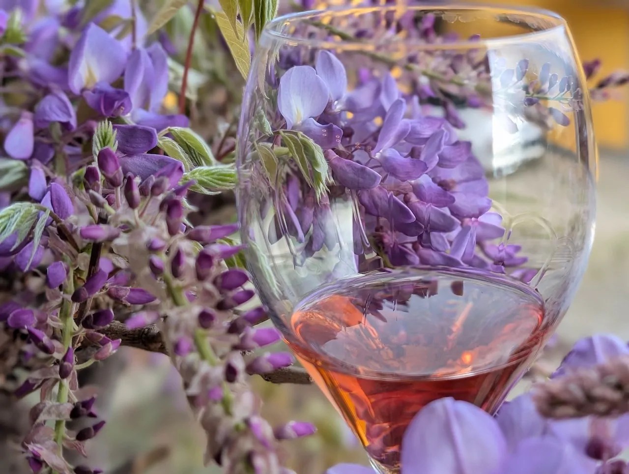 Franciacorta: Paradise of Bubbles - FrontRowSociety