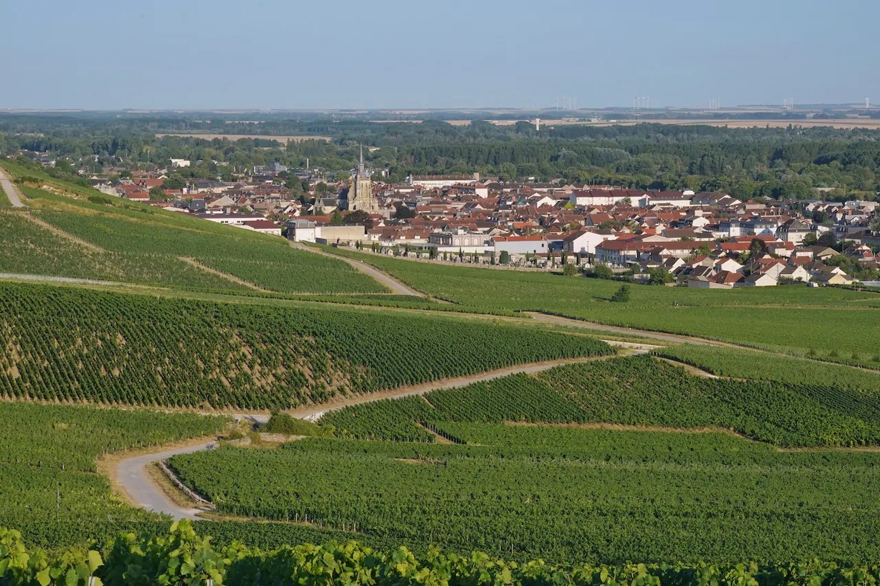 Champagne Lallier – Craftsmanship, Origin, and Harmony in the Glass -  FrontRowSociety