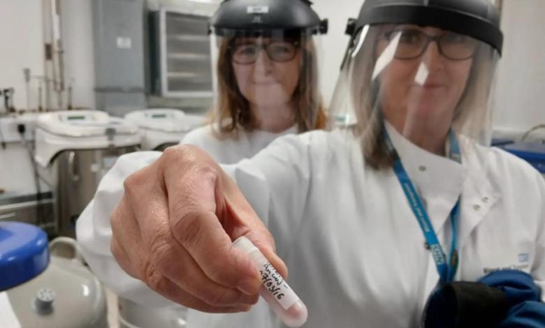 the new MAL blood group promises to save lives the new MAL blood group promises to save lives
