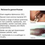 尿道炎的最佳精油選擇:專業建議與有效療法 尿道炎的最佳精油選擇:專業建議與有效療法