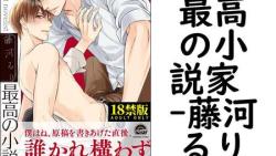 最高の小説家 (藤河るり) 最高の小説家 (藤河るり)