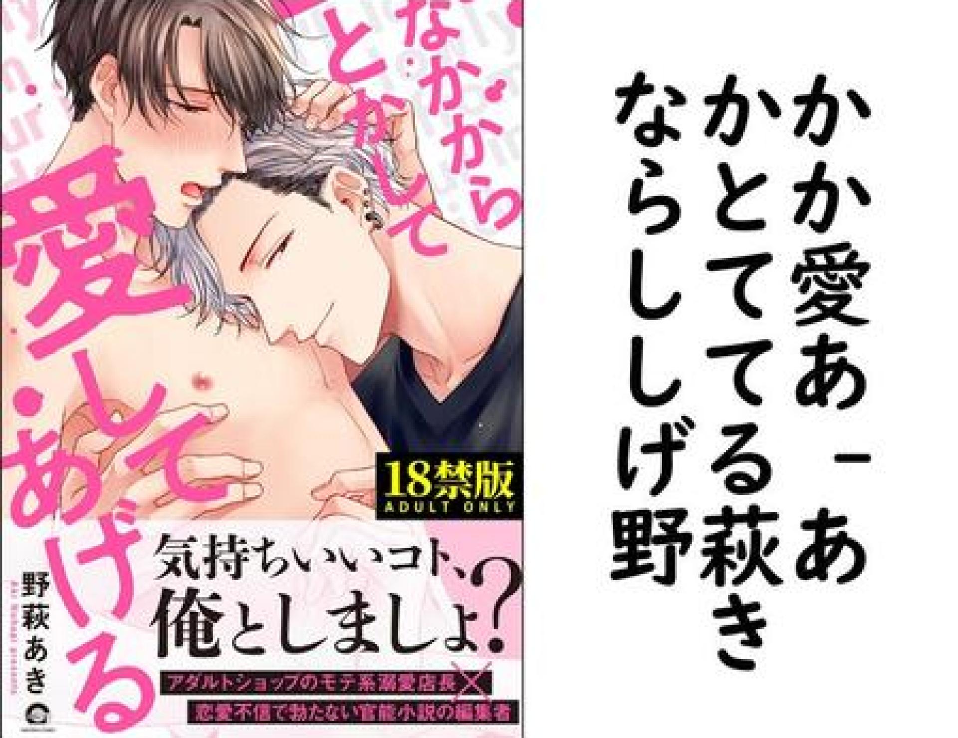 なかからとかして愛してあげる (野萩あき) なかからとかして愛してあげる (野萩あき)