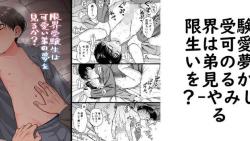 限界受験生は可愛い弟の夢を見るか?(やみじる) 限界受験生は可愛い弟の夢を見るか?(やみじる)