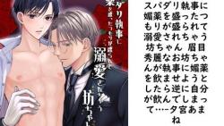 スパダリ執事に媚薬を盛ったつもりが盛られて溺愛されちゃう坊ちゃん 眉目秀麗なお坊ちゃんが執事に媚薬を飲ませようとしたら逆に自分が飲んでしまって…(夕宮あまね) スパダリ執事に媚薬を盛ったつもりが盛られて溺愛されちゃう坊ちゃん 眉目秀麗なお坊ちゃんが執事に媚薬を飲ませようとしたら逆に自分が飲んでしまって…(夕宮あまね)