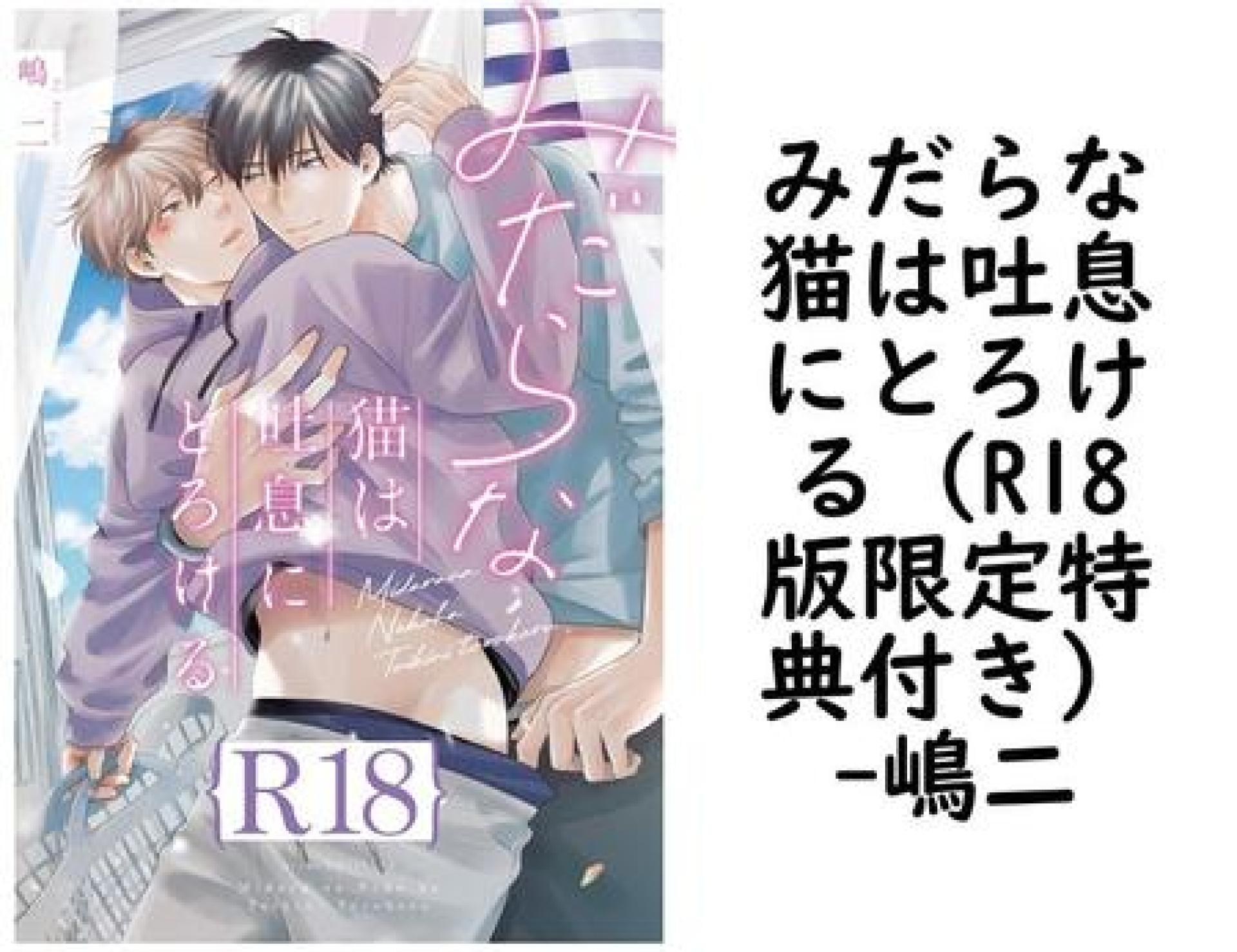 みだらな猫は吐息にとろける(R18版限定特典付き)【嶋二】(drap) みだらな猫は吐息にとろける(R18版限定特典付き)【嶋二】(drap)
