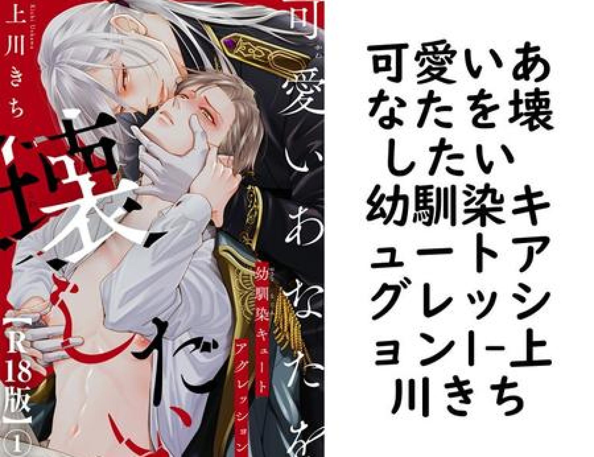 可愛いあなたを壊したい 幼馴染キュートアグレッション1【上川きち】(BL宣言) 可愛いあなたを壊したい 幼馴染キュートアグレッション1【上川きち】(BL宣言)