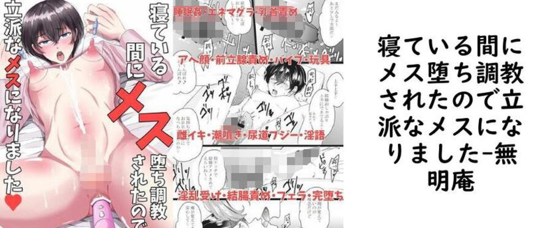 寝ている間にメス堕ち調教されたので立派なメスになりました【無明庵】(オリジナル同人) 寝ている間にメス堕ち調教されたので立派なメスになりました【無明庵】(オリジナル同人)