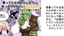 昔慕ってたお兄ちゃんがめっちゃかわいいギャルメイドになって帰ってきた。『お前が置いていったんだよ!』【ストレンジコケットリー】(オリジナル同人) 昔慕ってたお兄ちゃんがめっちゃかわいいギャルメイドになって帰ってきた。『お前が置いていったんだよ!』【ストレンジコケットリー】(オリジナル同人)