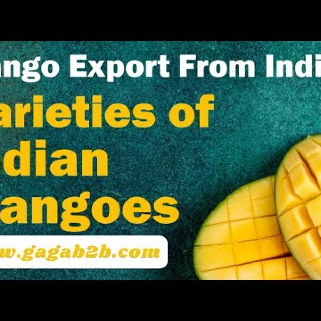 Mango Export From India: Varieties of Indian Mangoes #gagab2b Mango Export From India: Varieties of Indian Mangoes #gagab2b