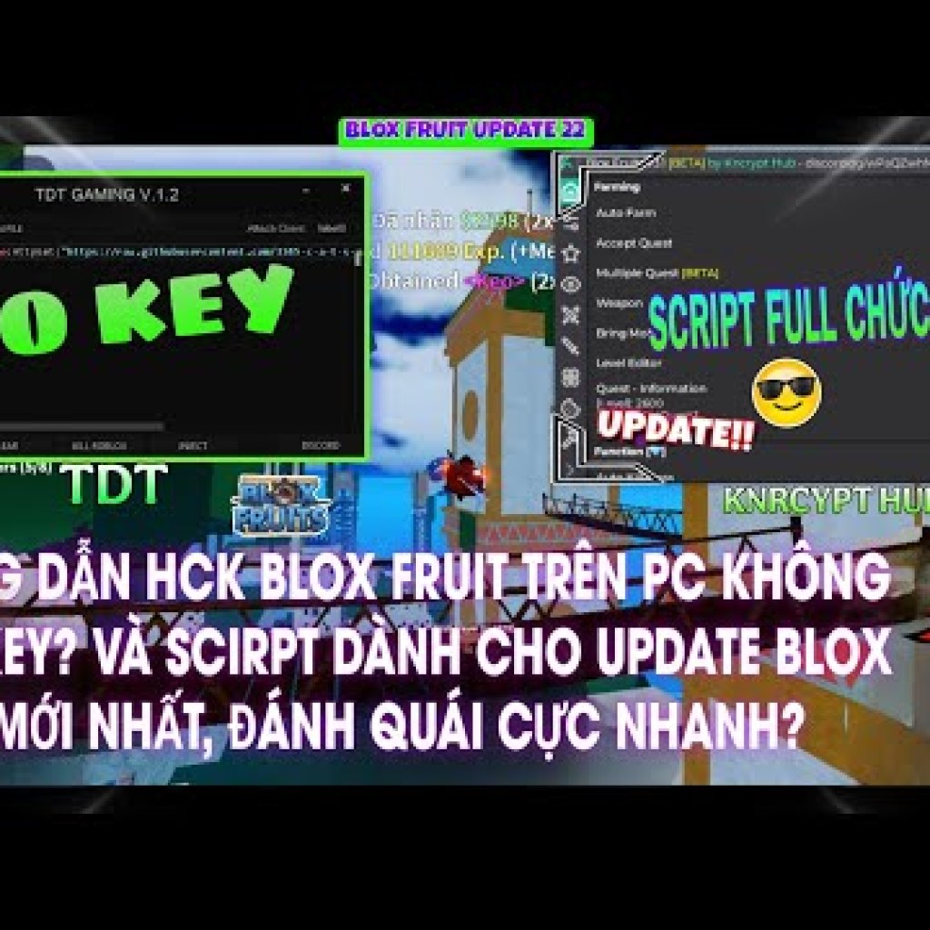 Hướng dẫn hack Blox Fruit update mới nhất trên PC không cần key và script đánh quái nhanh chóng Hướng dẫn hack Blox Fruit update mới nhất trên PC không cần key và script đánh quái nhanh chóng