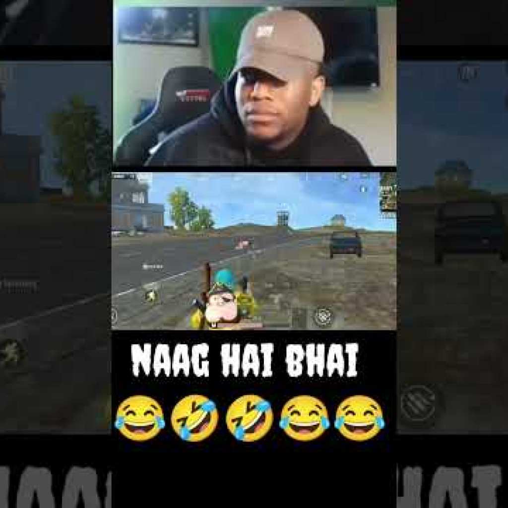 Hai Anh Em Rắn – Câu chuyện về sự đoàn kết và tình anh em Hai Anh Em Rắn – Câu chuyện về sự đoàn kết và tình anh em