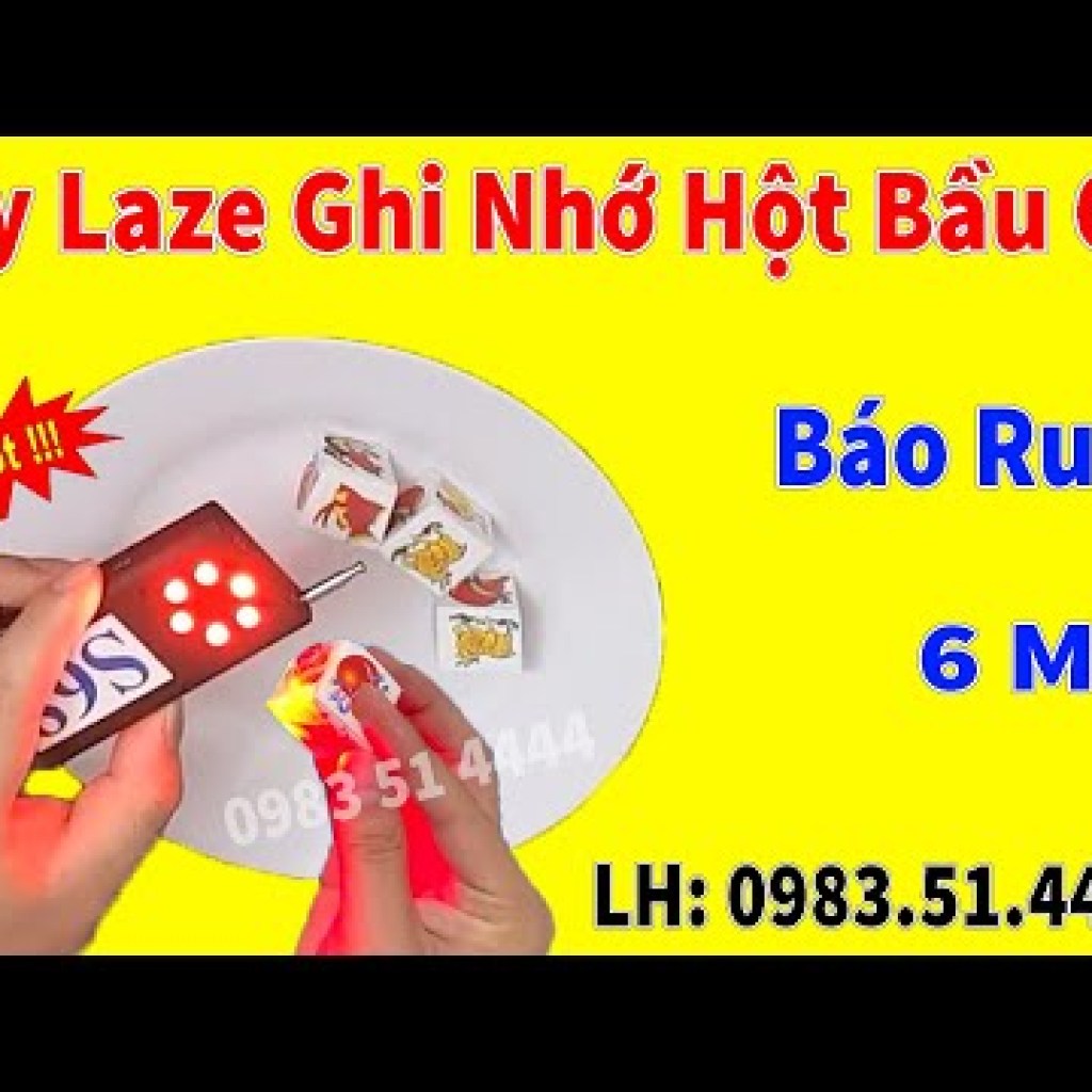 Bí mật bầu cua bịp: Chiêu thức tinh vi khiến bạn mãi mãi chơi bạc trắng tay Bí mật bầu cua bịp: Chiêu thức tinh vi khiến bạn mãi mãi chơi bạc trắng tay