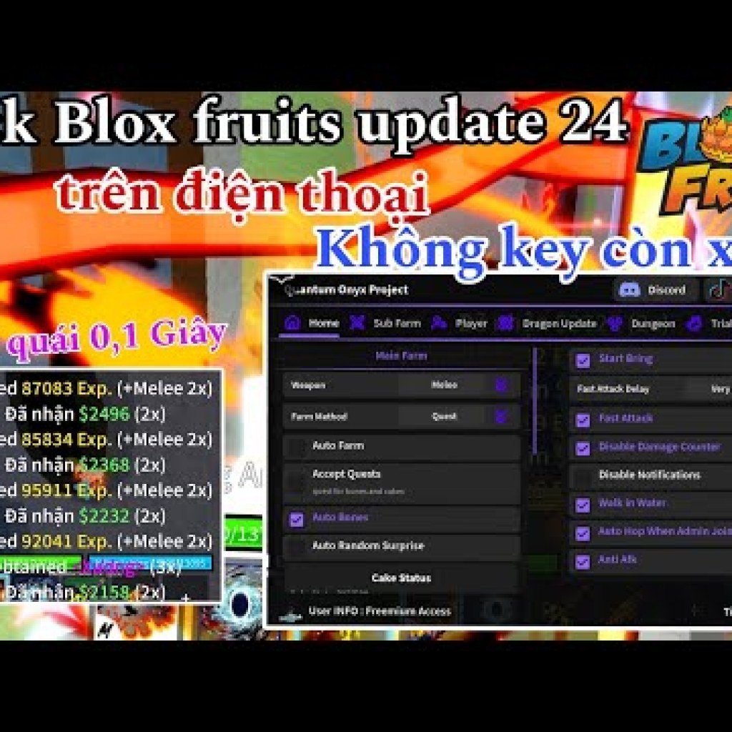Hướng dẫn Hack Blox Fruits Update 24 trên điện thoại với script mới nhất Hướng dẫn Hack Blox Fruits Update 24 trên điện thoại với script mới nhất