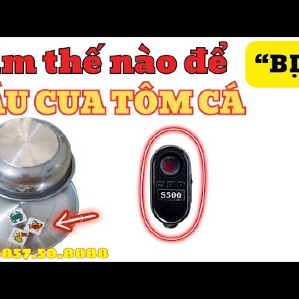 Bí quyết chơi bầu cua bịp đỉnh cao: Đồ bịp đẳng cấp đánh bại cả những cao thủ Bí quyết chơi bầu cua bịp đỉnh cao: Đồ bịp đẳng cấp đánh bại cả những cao thủ
