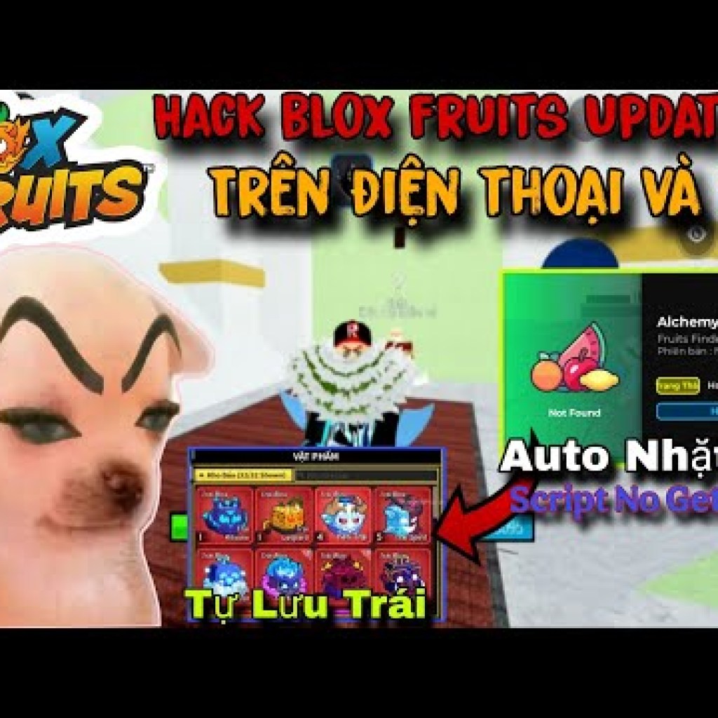 Script Auto Lưu Trái và Đổi Sever Blox Fruits Update 24 trên Điện Thoại – Hack Nhặt Trái Tự Động Script Auto Lưu Trái và Đổi Sever Blox Fruits Update 24 trên Điện Thoại – Hack Nhặt Trái Tự Động