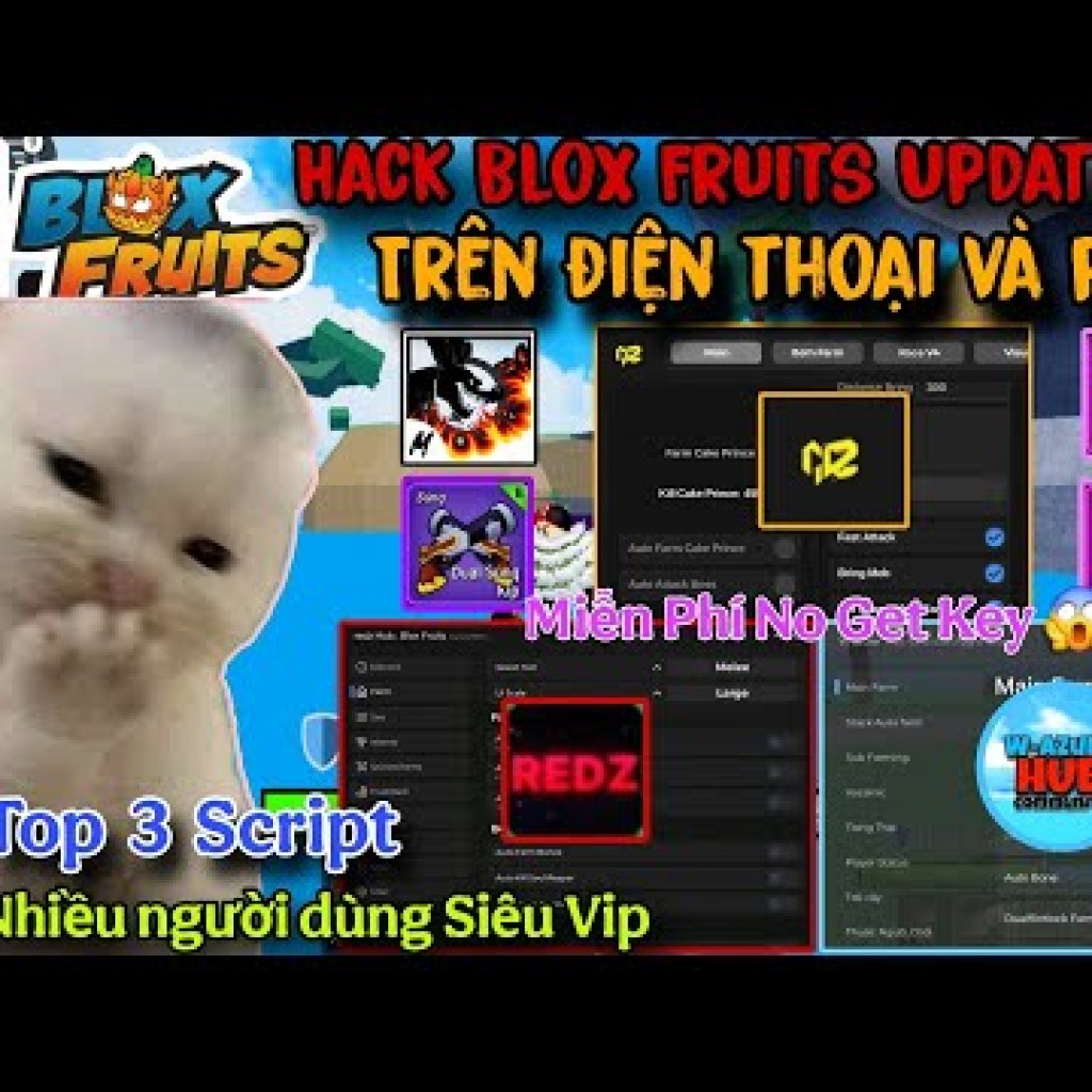 Top 3 Script Siêu Vip Cho Blox Fruits Update 24 Trên Điện Thoại – Hack Được Nhiều Người Sử Dụng Top 3 Script Siêu Vip Cho Blox Fruits Update 24 Trên Điện Thoại – Hack Được Nhiều Người Sử Dụng
