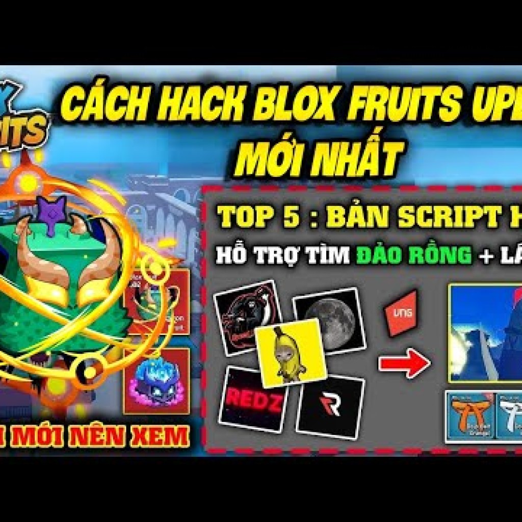 Cách Hack Roblox VNG Blox Fruit Trên Điện Thoại và Máy Tính: Script Mới Siêu Vip, Auto Farm, Fix Lỗi Cách Hack Roblox VNG Blox Fruit Trên Điện Thoại và Máy Tính: Script Mới Siêu Vip, Auto Farm, Fix Lỗi