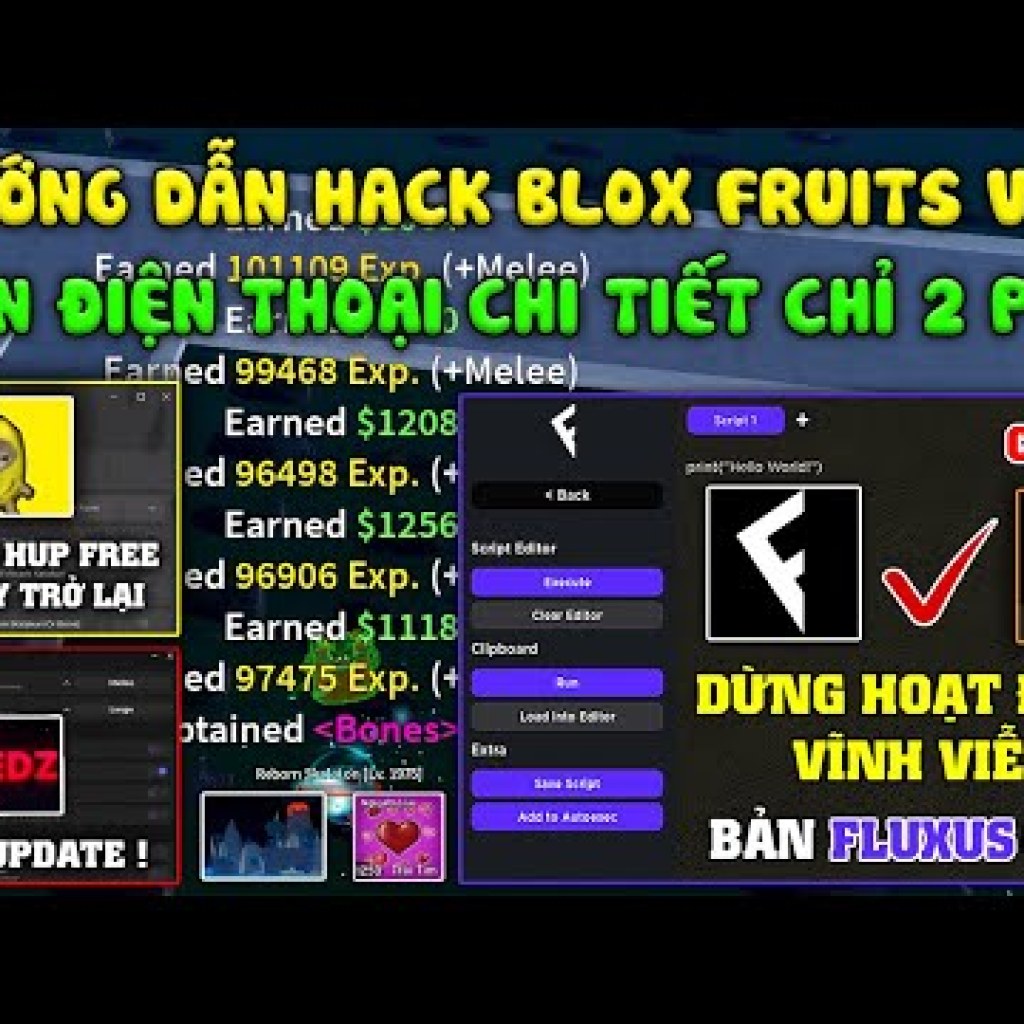 Cách Hack Blox Fruits: Fluxus VNG, Red Z Hub, Banana Hub – Chống Reset Acc Cuối Cùng 2 Script Cách Hack Blox Fruits: Fluxus VNG, Red Z Hub, Banana Hub – Chống Reset Acc Cuối Cùng 2 Script