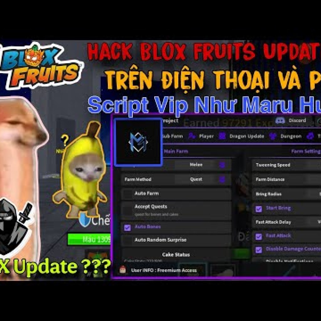 Blox Fruits Update 24: Hack Script QuanTumV2 Delta X VNG Update Farm Raid Trên Điện Thoại Blox Fruits Update 24: Hack Script QuanTumV2 Delta X VNG Update Farm Raid Trên Điện Thoại