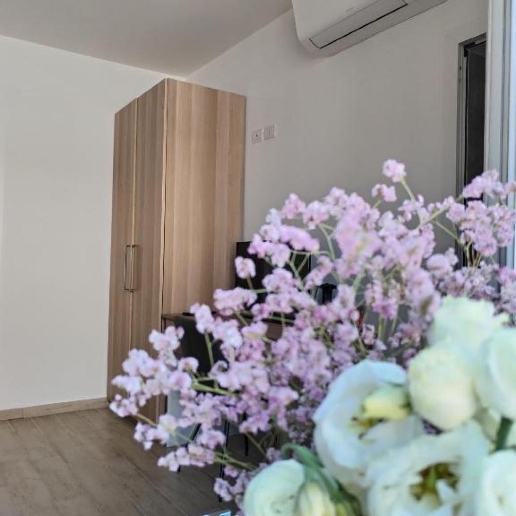 Publication Away from Ra wager 100 percent free and you can trial Slot game casino slots magic sign up bonus on line Publication Away from Ra wager 100 percent free and you can trial Slot game casino slots magic sign up bonus on line